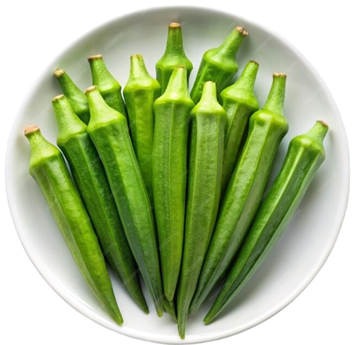 Okra (Lady's Finger) seed production field in Karnataka