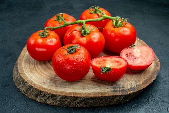 Tomato seed production field in Karnataka